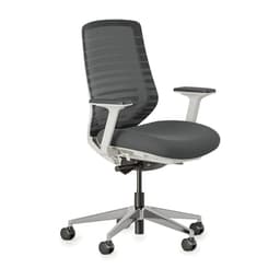 Branch Ergonomic Chair