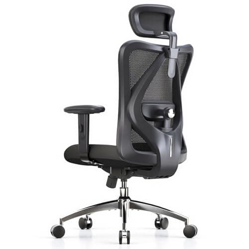 Sihoo M18 Ergonomic Chair