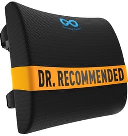 Everlasting Comfort Memory Foam Lumbar Cushion