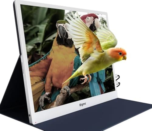 Bigme B13 13.3" Color E-Paper Touchscreen Monitor