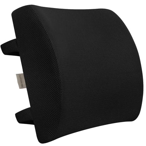 LoveHome High-Density Memory Foam Back Cushion