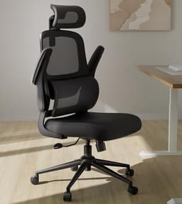 Hbada P1 Compact Ergonomic Office Chair