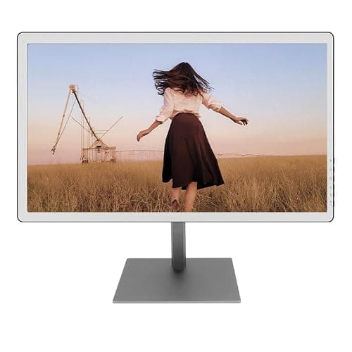Bigme B251 25.3" Color E-Paper Monitor