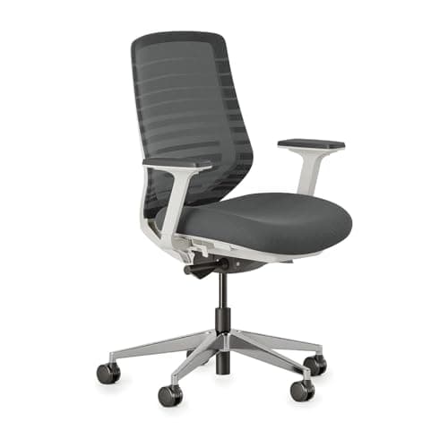 Branch Ergonomic Chair