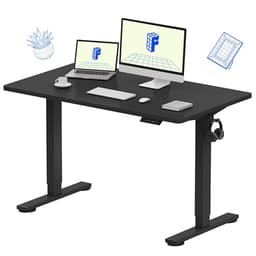 FlexiSpot EN1 48" Electric Standing Desk