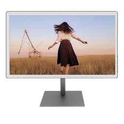Bigme B251 25.3" Color E-Paper Monitor